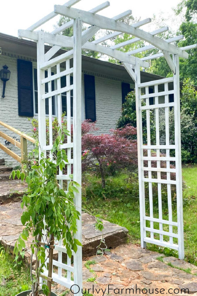 How to paint a wooden trellis.
